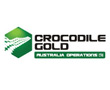 General Manager Operations - Crocodile Gold